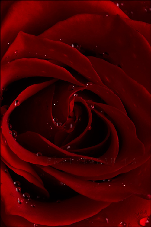 falling_by_suzi9mm falling_by_suzi9mm